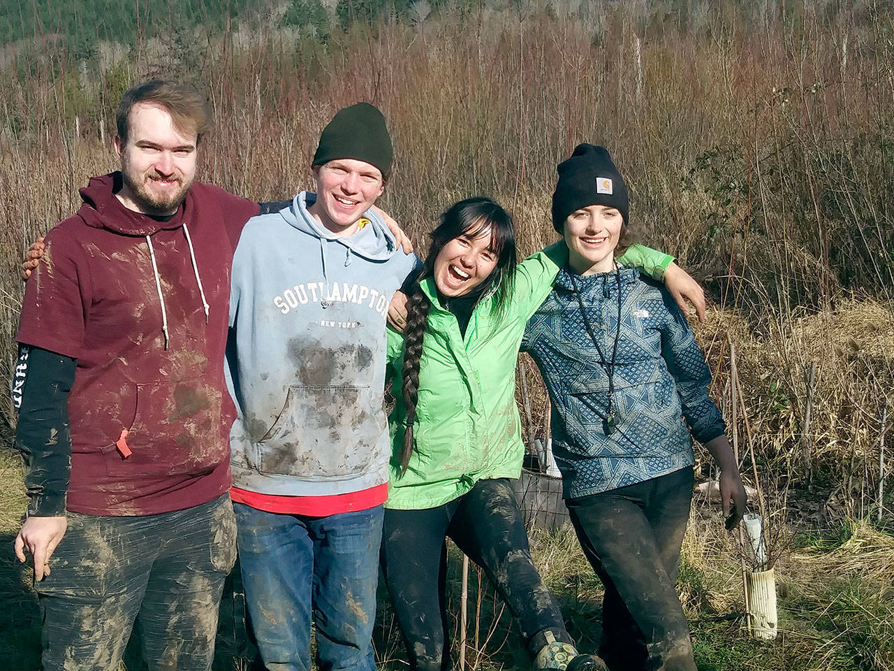 Teen crew leaders, from left, David Smith, Wyatt Steffans, Anika Avelino and Jasmine Heuberger-Yearian, lead a tree-planting event near Tarboo Creek, sponsored by Northwest Watershed Institute and the Unkitawa Foundation.