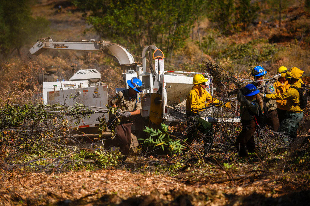 In this July 31, 2019, file photo, members of Emergency Wildfire Forest Management Project work together to construct shaded fuel breaks by hand pruning vegetation to minimize fire risk in the Sierra Foothills in Colfax, Calif. The Bureau of Land Management has announced plans to fund 11,000 miles (17,703 kilometers) of strategic fuel breaks in Idaho, Oregon, Washington, California, Nevada and Utah in an effort to help control wildfires. The fuel breaks are intended to prop up fire mitigation efforts and help protect firefighters, communities and natural resources, The Oregonian reported Saturday, Feb. 15, 2020. (Daniel Kim/The Sacramento Bee via AP)
