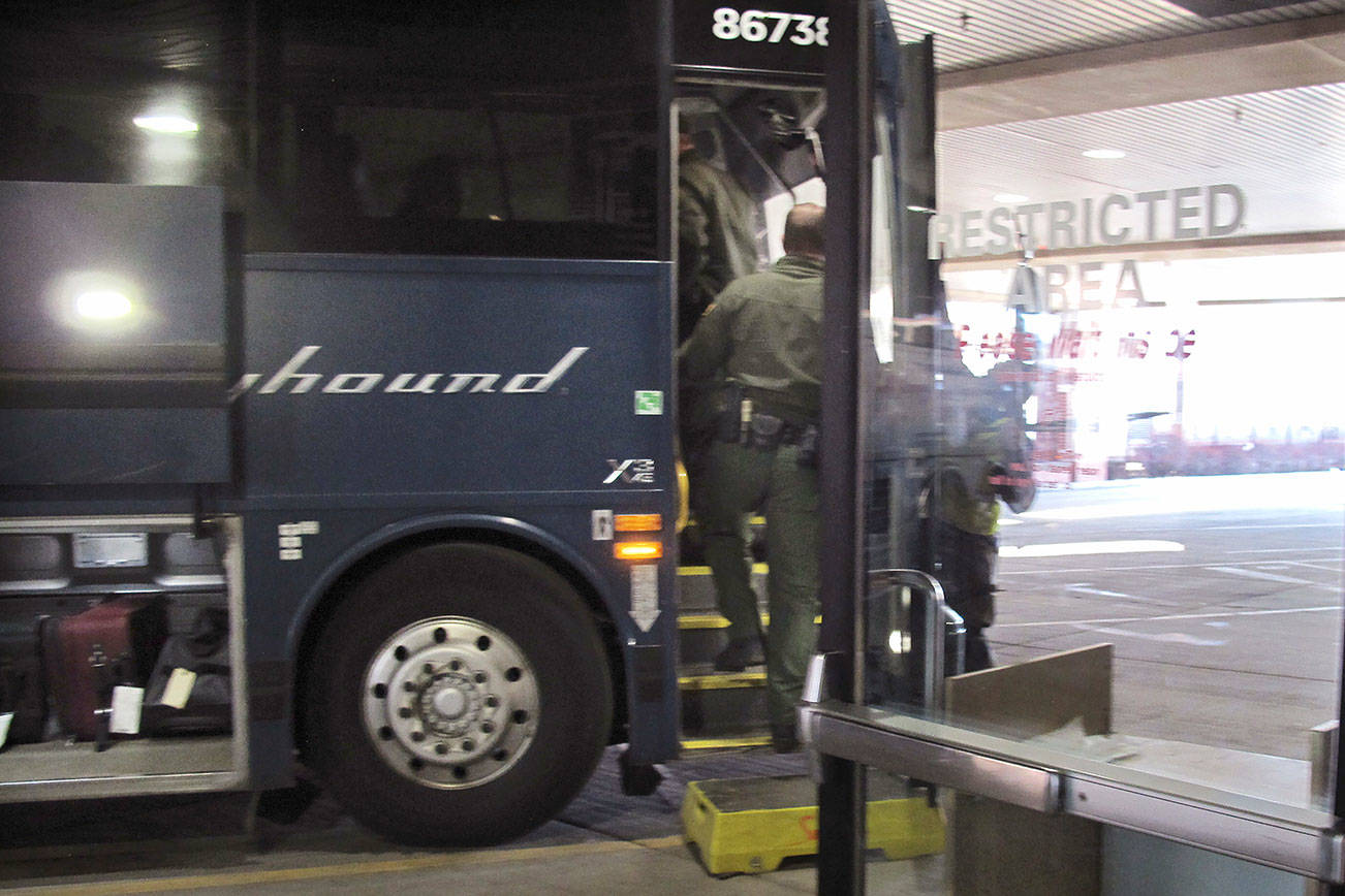 Greyhound to stop allowing regular immigration checks on buses