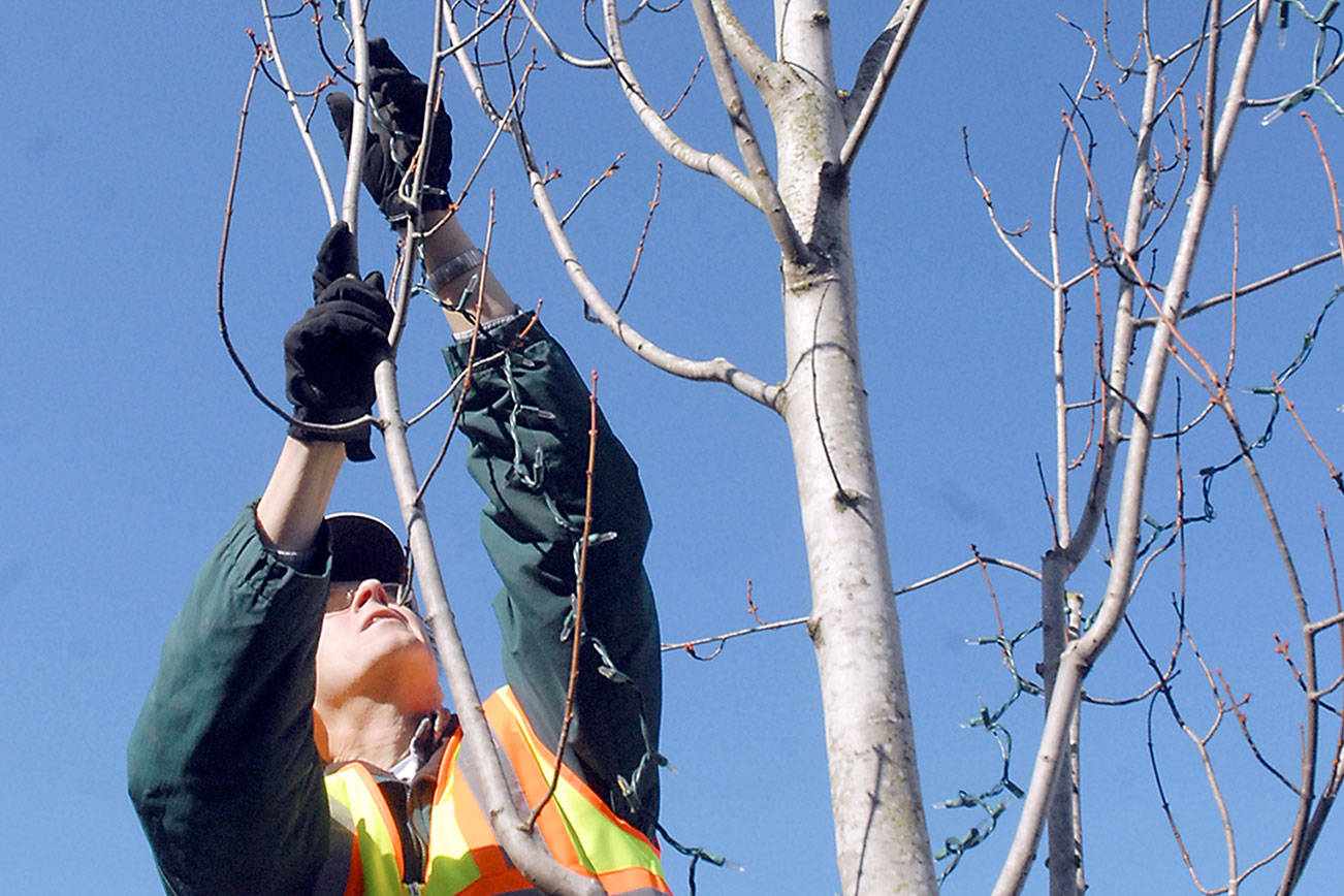 Christmas lights come down Peninsula Daily News