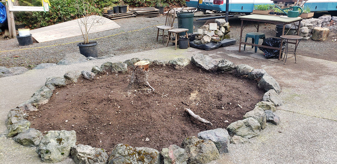 New garden spot dug out in preparation for the vegetables and seeds. (Andrew May/For Peninsula Daily News)