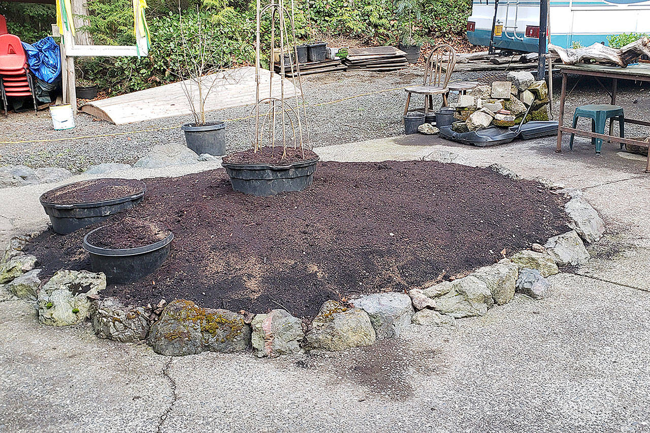 The end product, with raised center for pole beans and pots for zucchini. Lime was added to sweeten the soil. (Andrew May/For Peninsula Daily News)