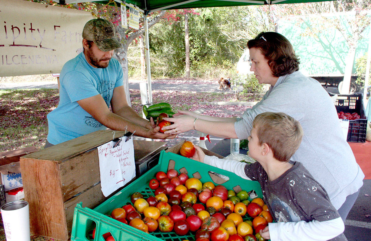 Jaric Jahns, left, a produce partner at Serendipity Farm in Quilcene, helps customers Emily Allen and her two sons, Bram Genaw, 6, and Toby Genaw, 3, at the Port Townsend Farmers Market in September 2019. (Brian McLean/Peninsula Daily News file)