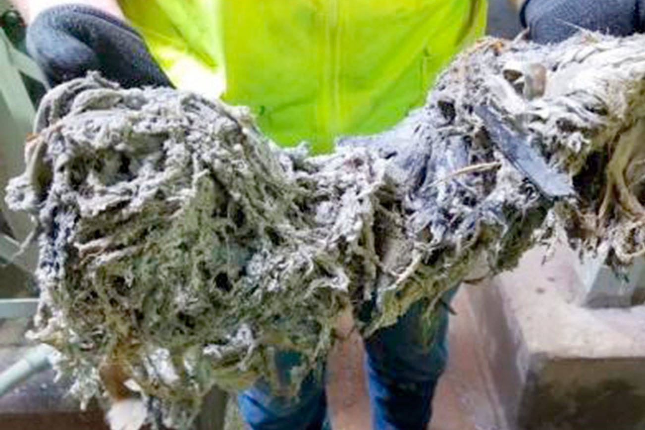 ‘Flushable’ wipes clog sewer pipes, officials say