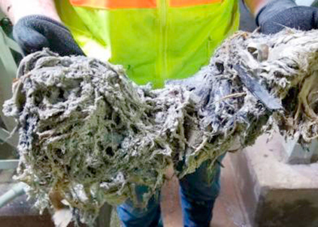 Port Townsend Public Works has asked it citizens to not flush disinfectant wipes down the toilet even if the packagin says they’re flushable. These wipes do not disintegrate like toilet paper, but rather become sticky strands that collect and can cause blockages in the sewer. (City of Port Townsend)