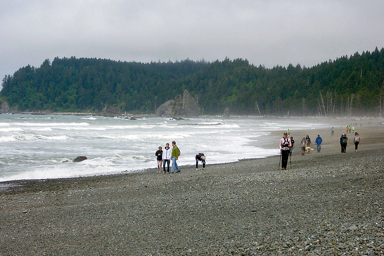 Olympic National Park closes beaches, coastal areas