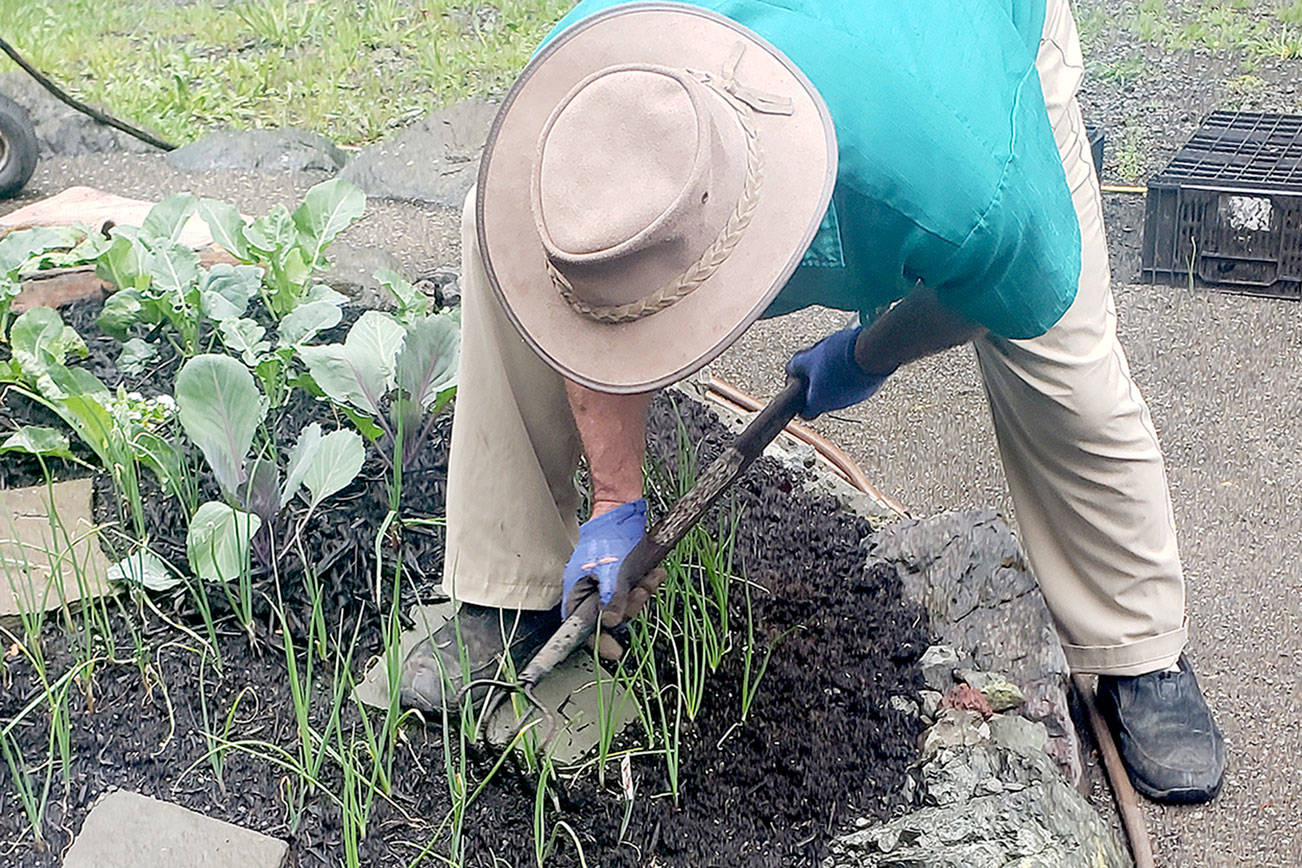 A GROWING CONCERN: ‘Get the dirt’ on dirt in your garden
