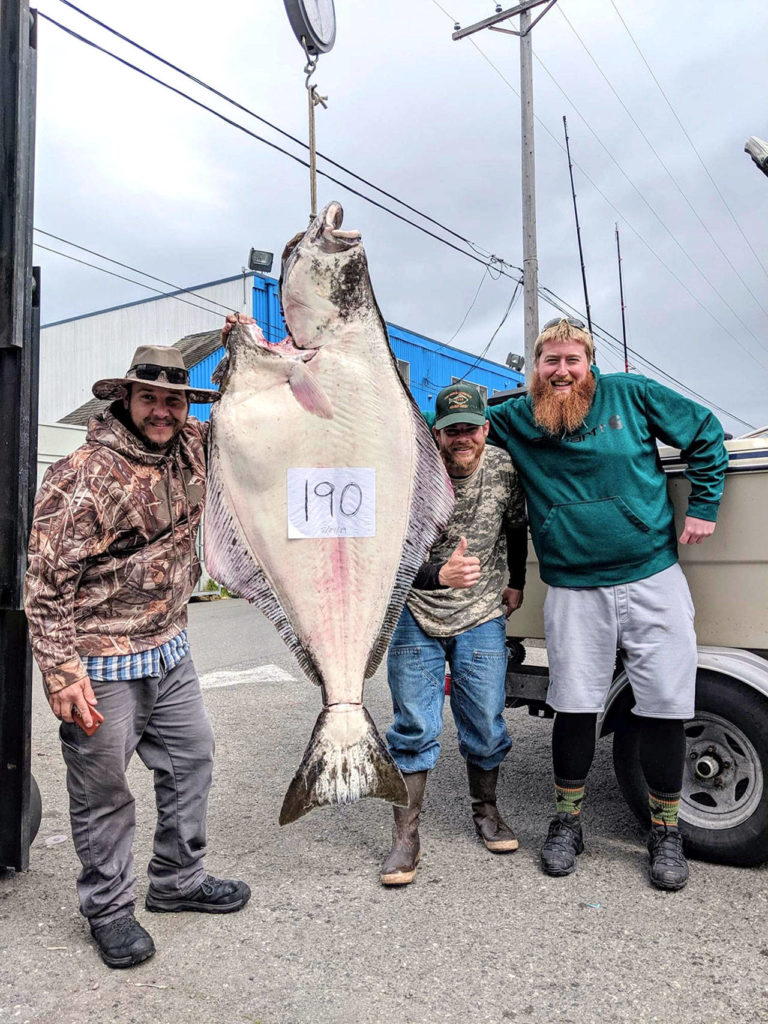 OUTDOORS Halibut opens in Strait, Puget Sound Peninsula Daily News
