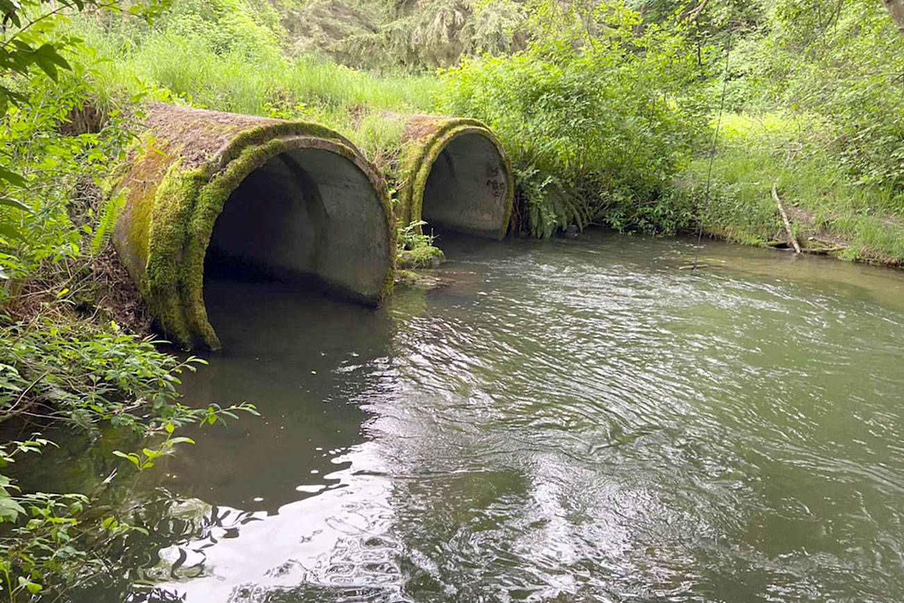 Port Angeles seeks state grant for fish passage