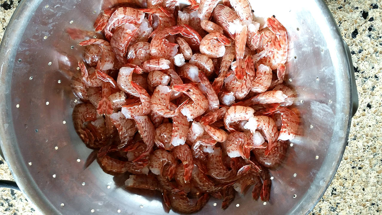 Spot shrimp season opens in parts of the Olympic Peninsula later this week. (Dave Croonquist)
