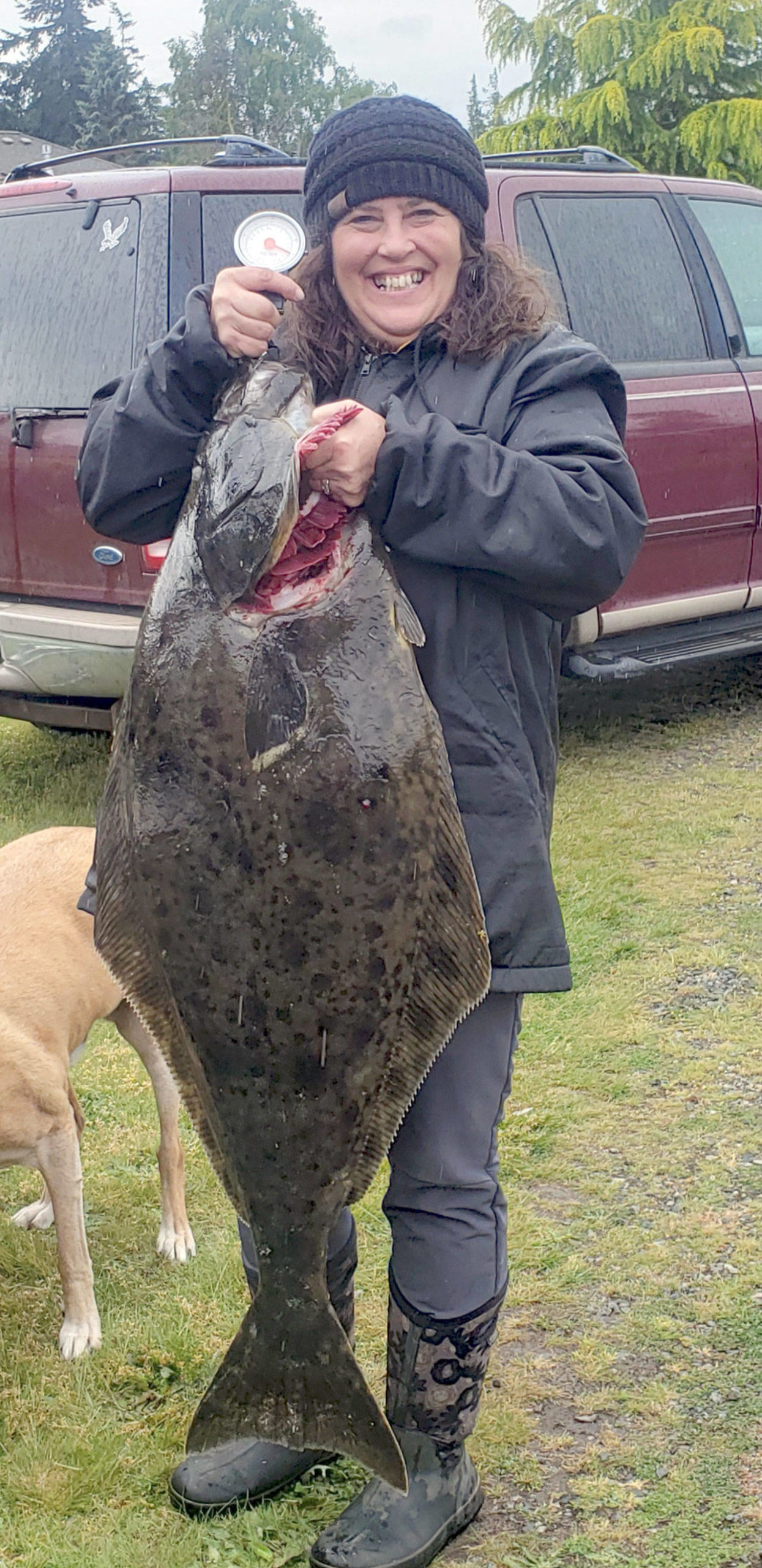 Ann Jagger of Sequim caught this halibut while fishing out of John Wayne Marina on Sunday morning. The fish was measured by fish checkers on the dock at just under 46 inches in length. It weighed 45 pounds. (Steve Hazard)