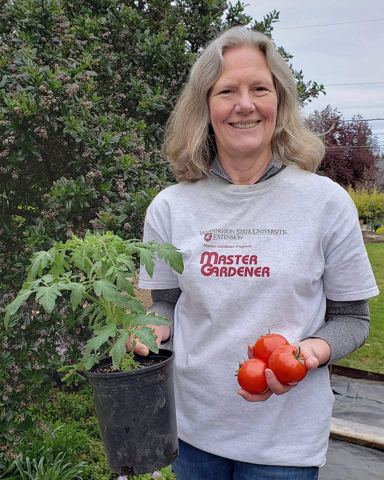 Jan Bartron shows off a tomato plant and the end-product: juicy, vine-ripened tomatoes. (Jan Bartron)