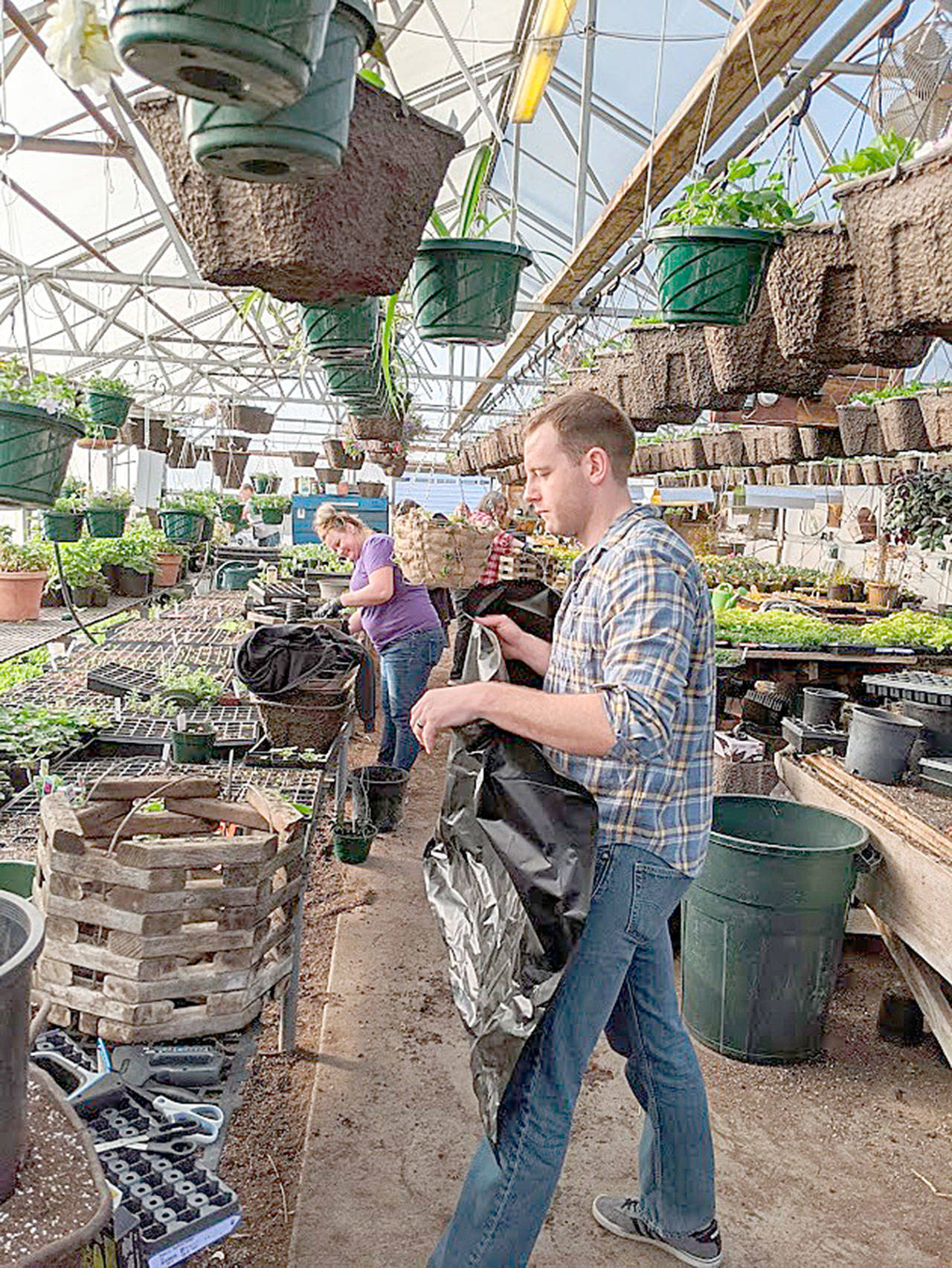 Sequim teachers Michelle Mahitka and Taylor Thorson help line flower baskets in the Sequim High School’s greenhouse to help finish the project started by Sequim High students. Prior to school closing due to COVID-19, students finished about 75 baskets while teachers and paraeducators completed more than 50 baskets after school closed, (Photo courtesy of Steve Mahitka)