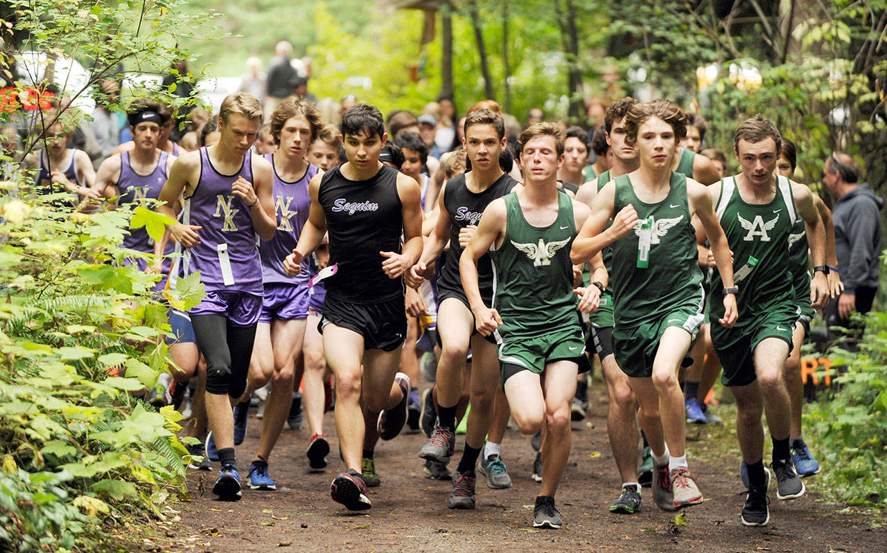 Port Angeles, Sequim and North Kitsap boys runners are packed together at the start of a cross country meet at Robin Hill County Park last fall. Cross Country, listed as a low-risk sport, could be the first prep sport to resume this fall. (Michael Dashiell/Olympic Peninsula News Group)
