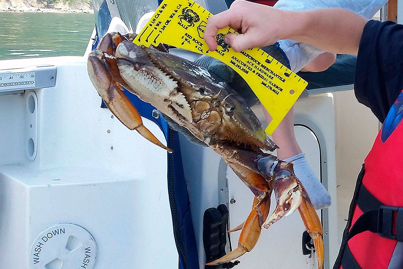 OUTDOORS: Crabbing season begins Thursday