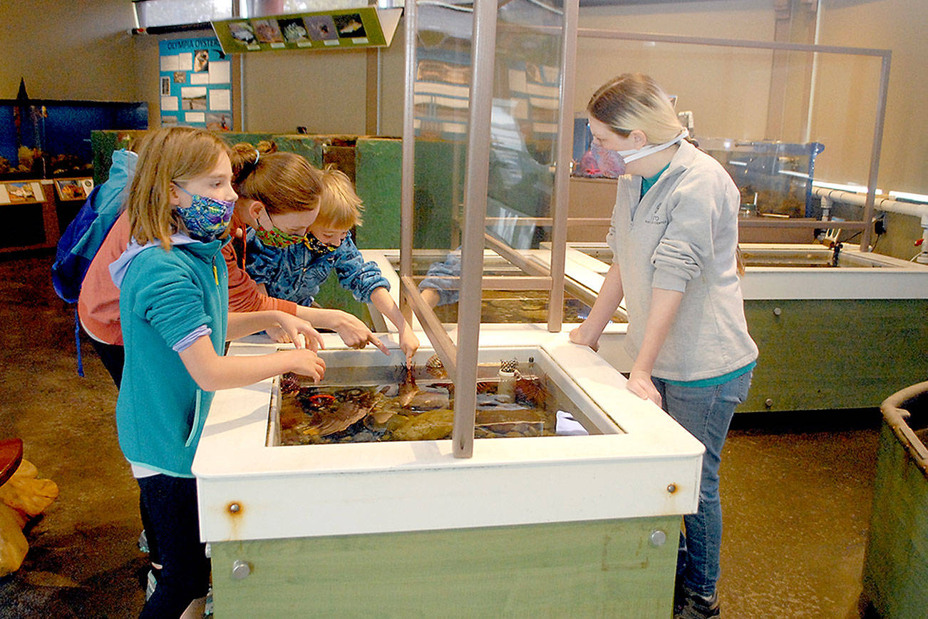 Feiro Marine Life Center reopens at Port Angeles City Pier