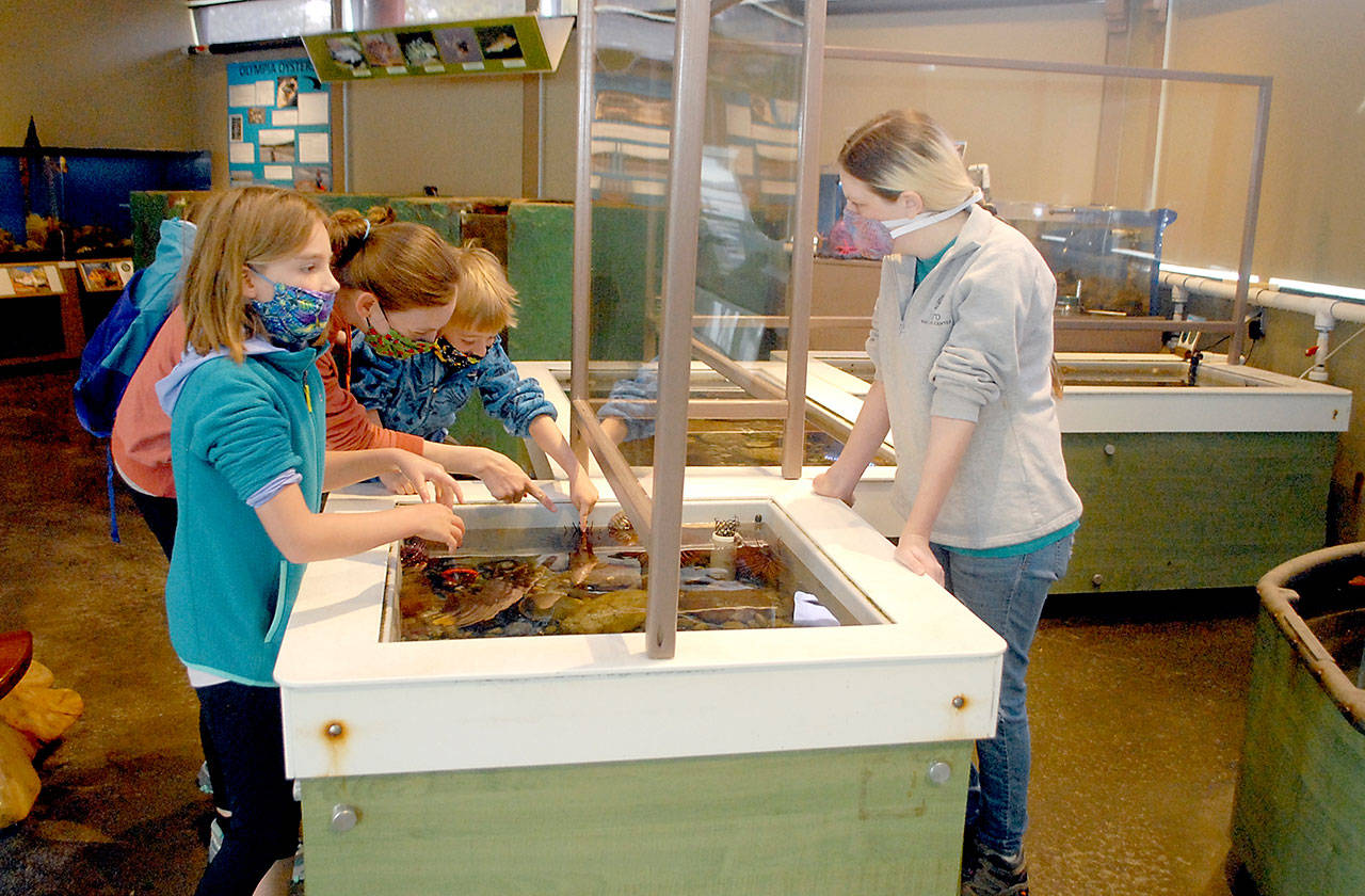 Feiro Marine Life Center guest services specialist Disa Wilson, right, answers questions from visitors Kellye Wittenburg of Boerne, Texas, left center, and her children, Kate, 11, and Jack, 6, on Saturday in Port Angeles. (Keith Thorpe/Peninsula Daily News)