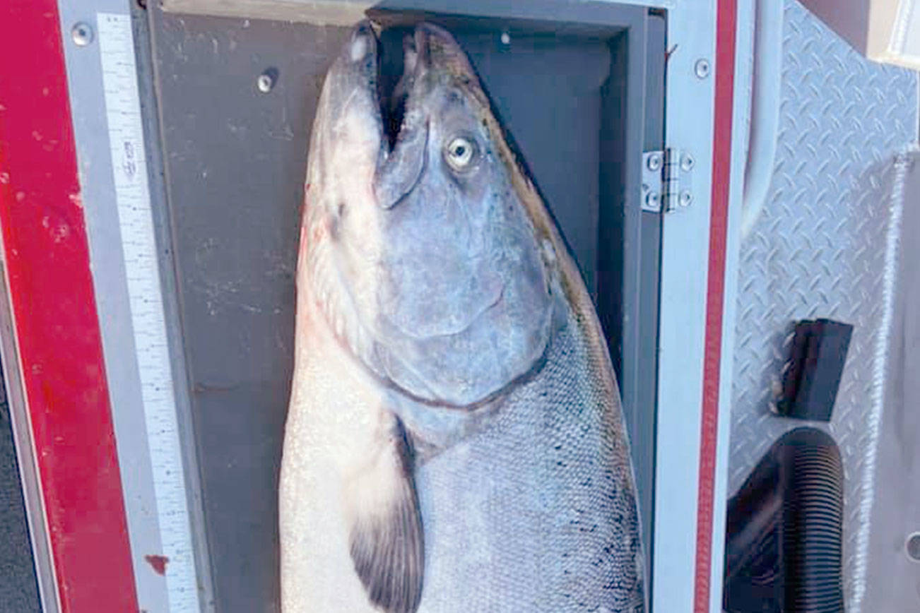 OUTDOORS: Marine Area 9 joins the salmon season party