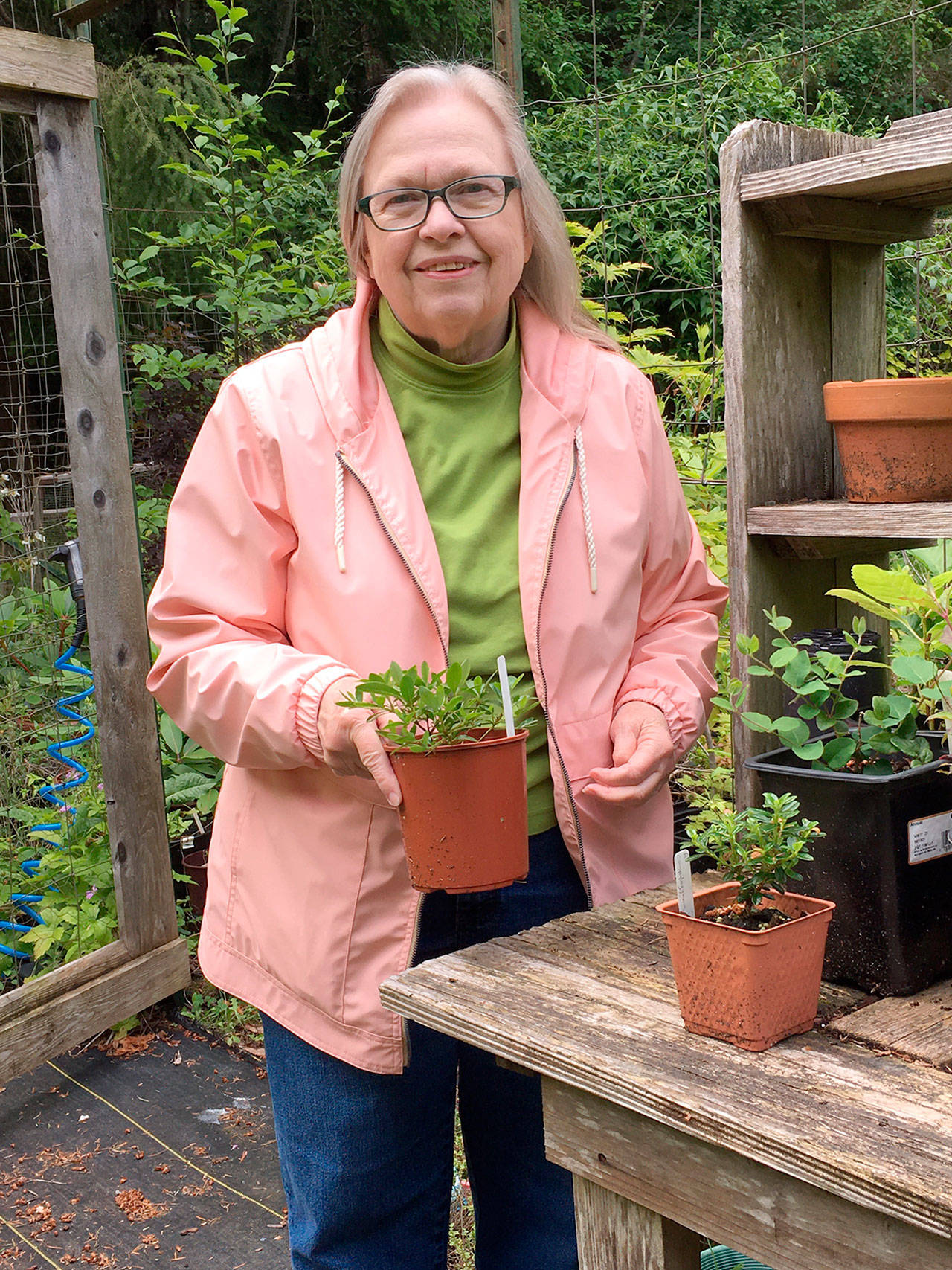 Rosalie Preble will present “Propagation: New Plants from Cuttings” at noon Thursday.