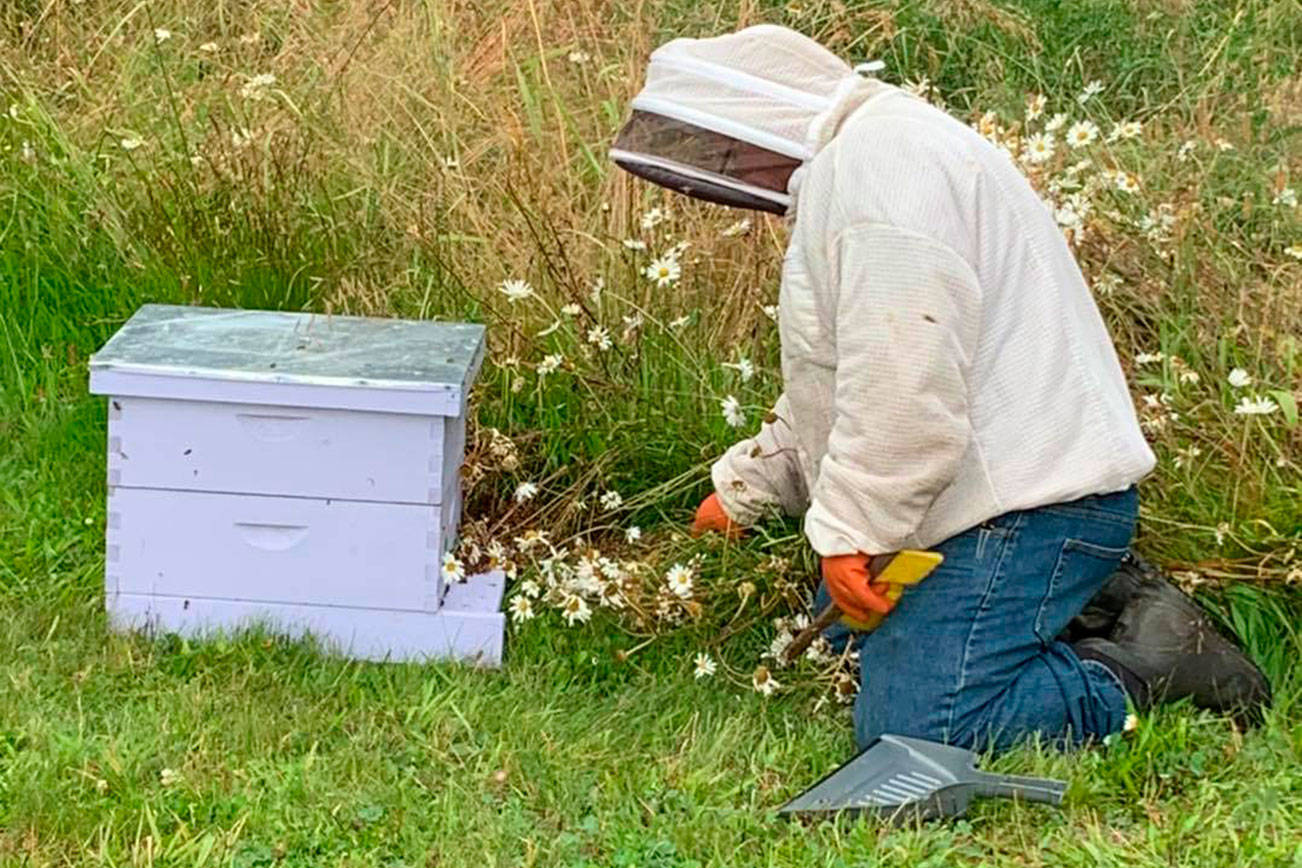 Green Thumbs series spotlights beekeeping