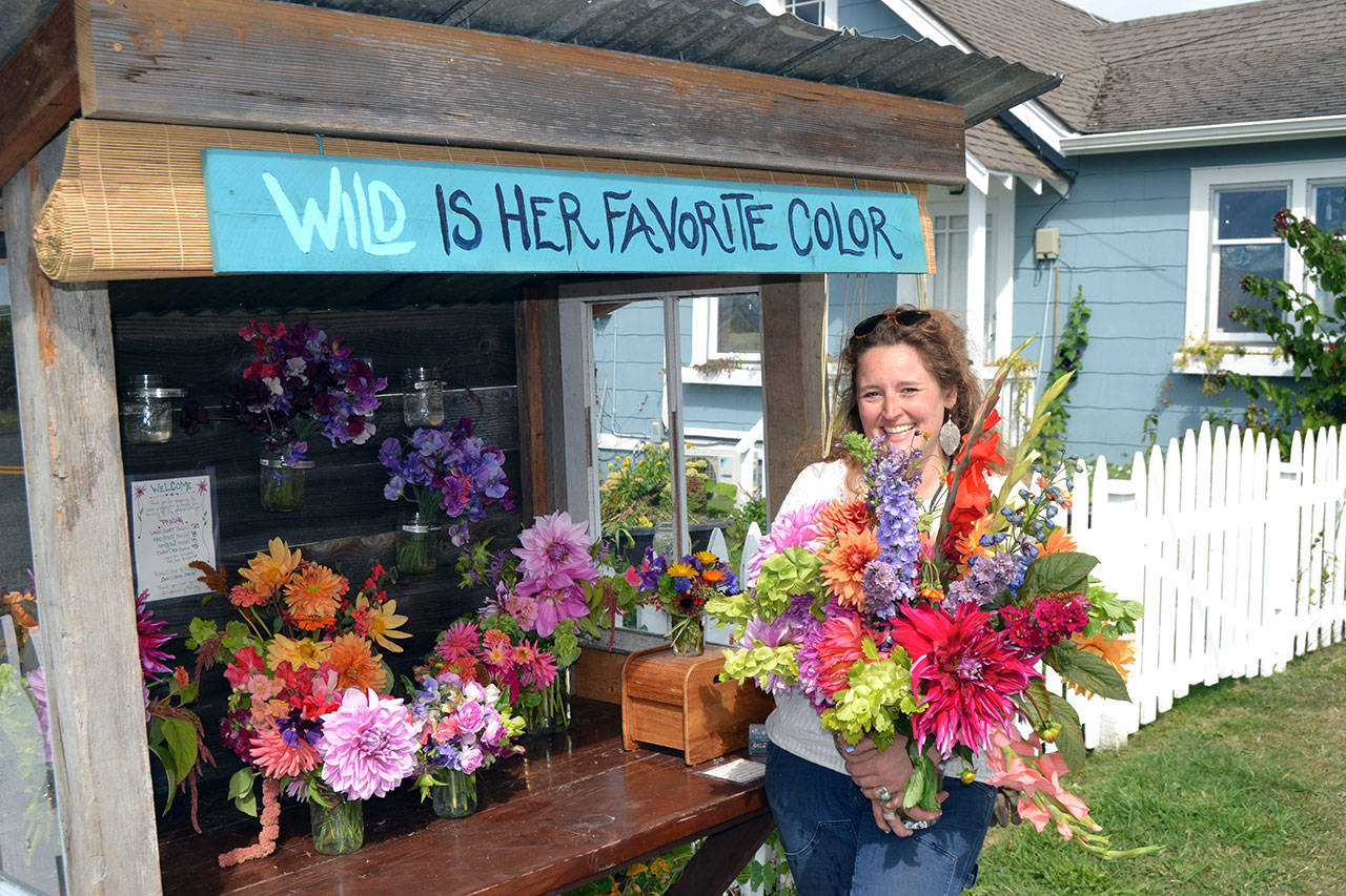 Mikel Townsley’s flower stand “Wild is Her Favorite Color” has become a popular attraction on Cays Road since going up on July 5. She planted more than 700 starts this year as a project to help channel her energies after working at the Olympic Medical Cancer Center. (Matthew Nash /Olympic Peninsula News Group)
