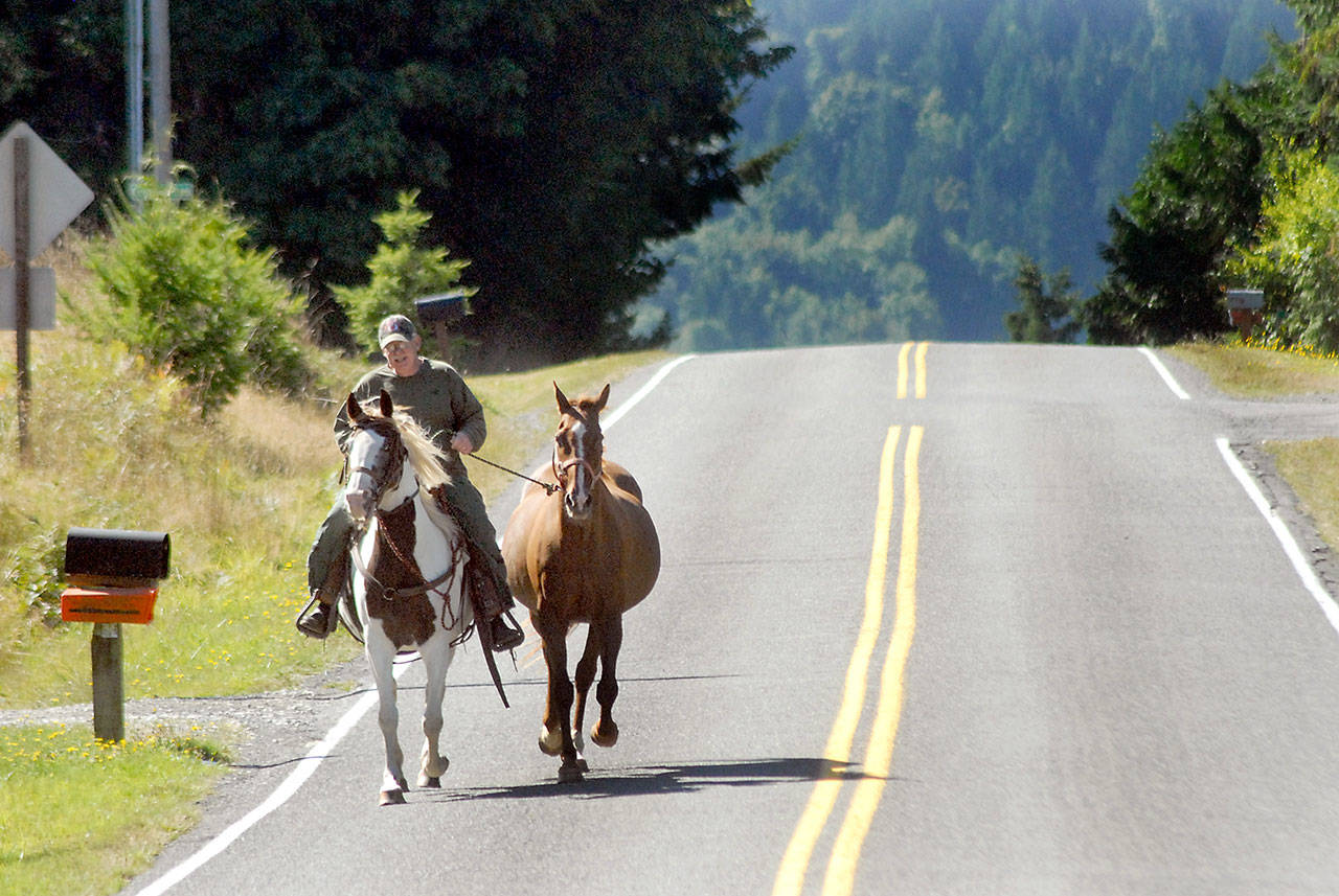 Freshwater horses head home