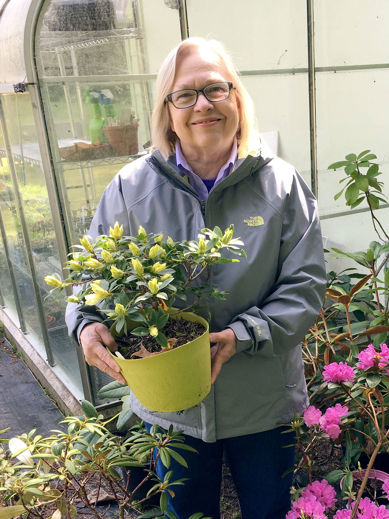 Rosalie Preble will discuss Rhododendrons at a Green Thumb Garden Tips lecture Thursday.