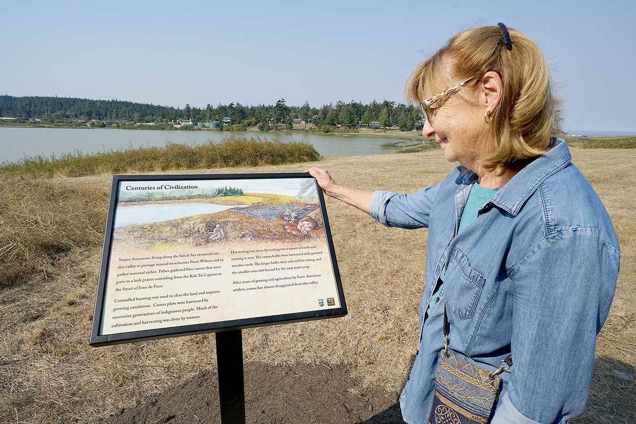 Zan Manning admires the artwork of longtime Port Townsend resident Larry Eifert on Thursday. A sign accompanies a description of Native peoples’ centuries-long use of the land in Port Townsend. Manning wrote narrative descriptions for five new interpretive panels along a trail at Chinese Gardens based on several years of research into the natural and cultural history of the area. (Nicholas Johnson/Peninsula Daily News)