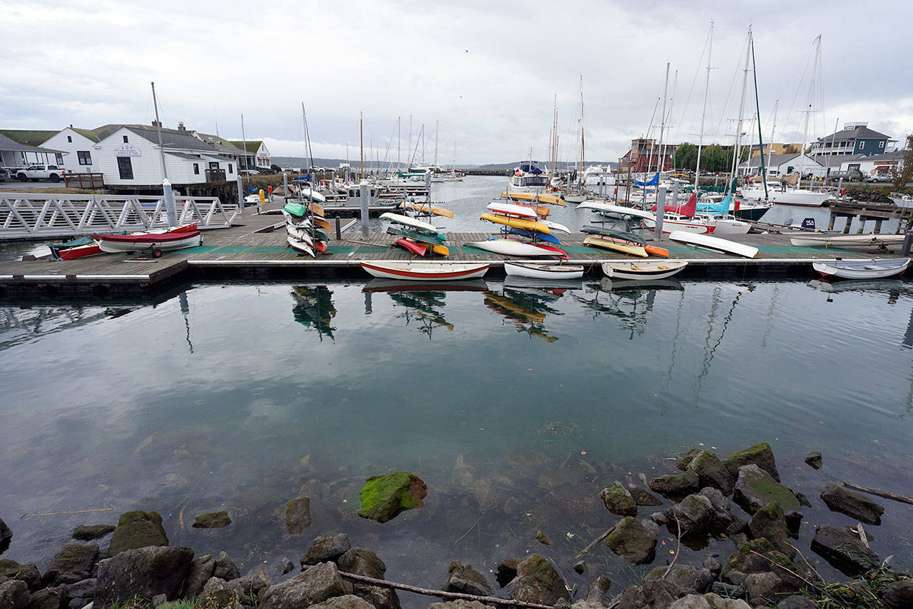 The Jamestown SKlallam Tribe is proposing a 20-foot by 80-foot nursery for raising young oysters, also known as a floating upweller system, or FLUPSY, in this northern-most corner of the Point Hudson Marina in Port Townsend. (Nicholas Johnson/Peninsula Daily News)