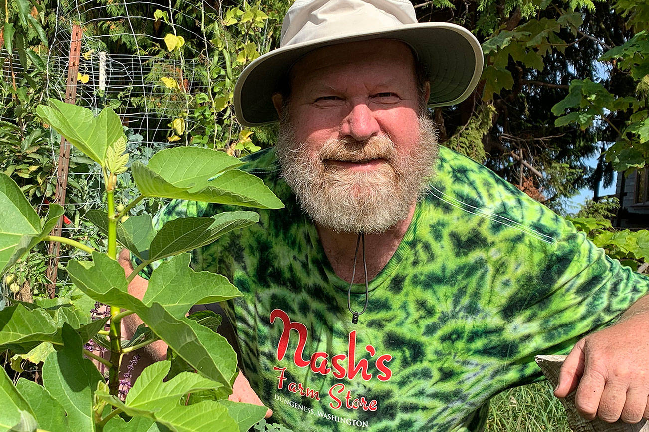 Growing figs topic of Green Thumbs presentation