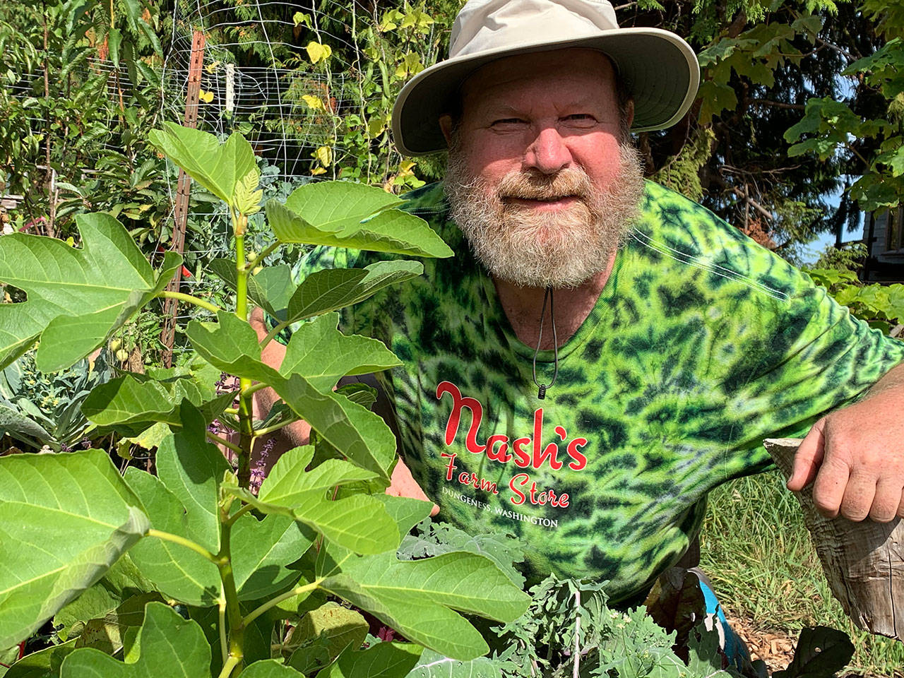 Paul Kolesnikoff discusses growing figs on the North Olympic Peninsula at a Zoom presentation set for noon-1 p.m. on Thursday, Oct. 8. Photo courtesy of Paul Kolesnikoff
