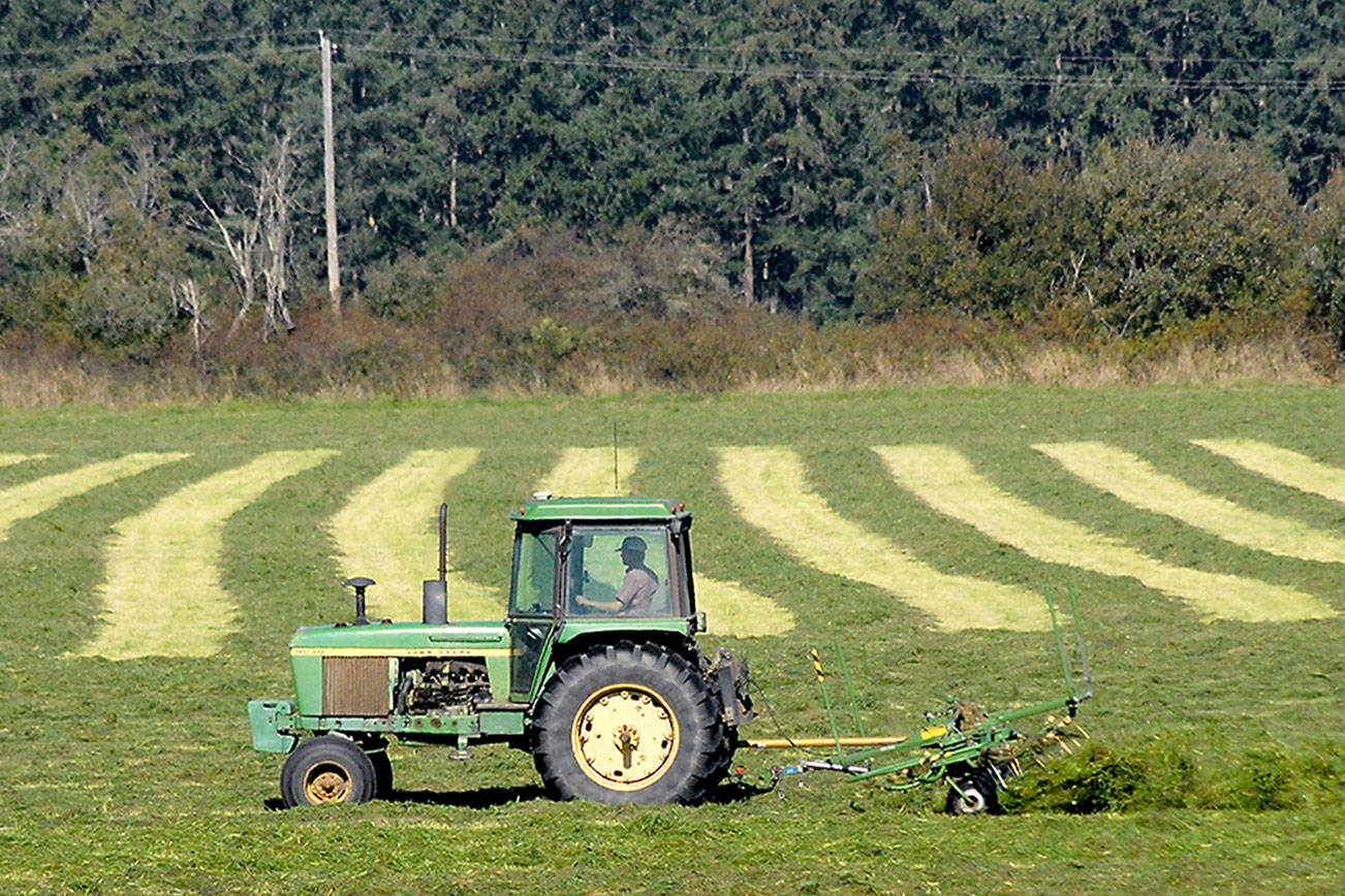 A tractor with a dethatching attachment makes its way through a recently cut field in the Port Williams area of rural Sequim on Tuesday. As fall gets into full swing, harvest season is arriving across much of the North Olympic Peninsula. (Keith Thorpe/Peninsula Daily News)