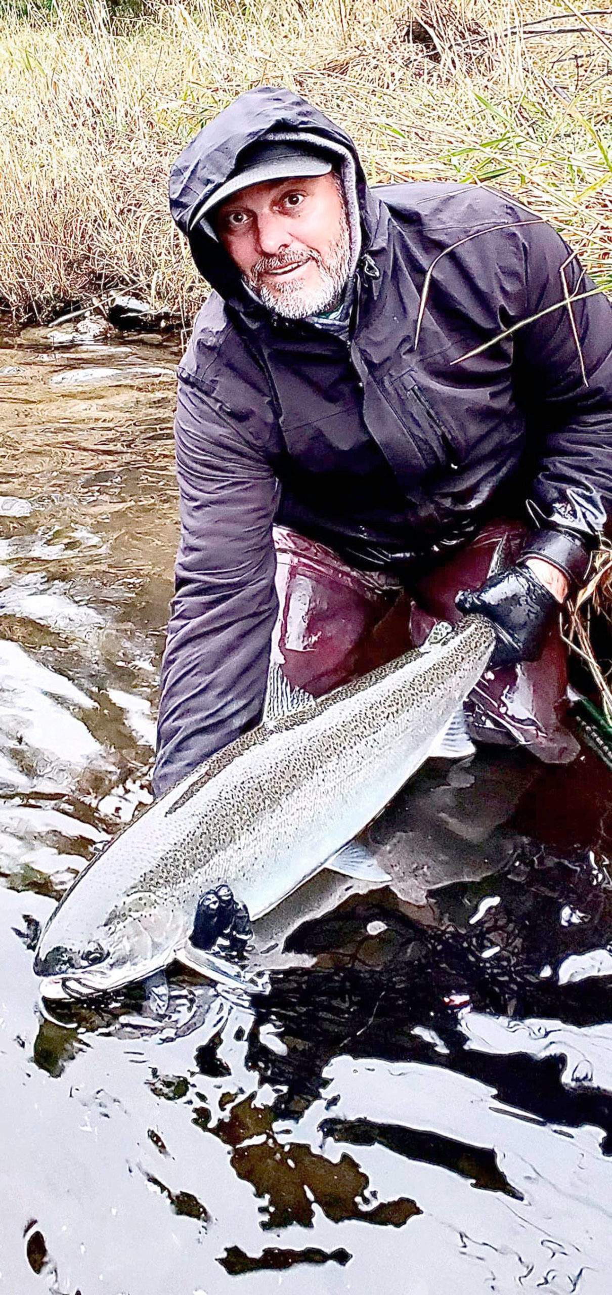 Jerry Wright of Jerry’s Bait and Tackle in Port Angeles caught and released this wild steelhead hen while fishing the Sol Duc River on Tuesday. Wright said it’s the earliest he’s ever caught a wild steelhead. (Courtesy photo)