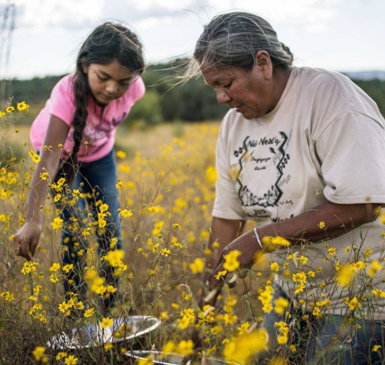 View a free screening and participate in a discussion of the 2020 film “Gather” online this month, part of a Peninsula College program exploring indigenous food sovereignty.