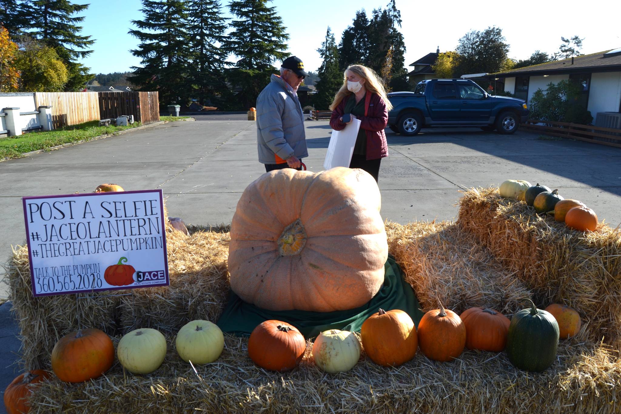 Through Veterans Day, visitors can see Ross Osborn’s Dill’s Atlantic Giant pumpkin at JACE Real Estate Company off Sequim Avenue. Here, Osborn chats with Eileen Schmitz, principal broker at JACE. (Matthew Nash/Olympic Peninsula News Group)