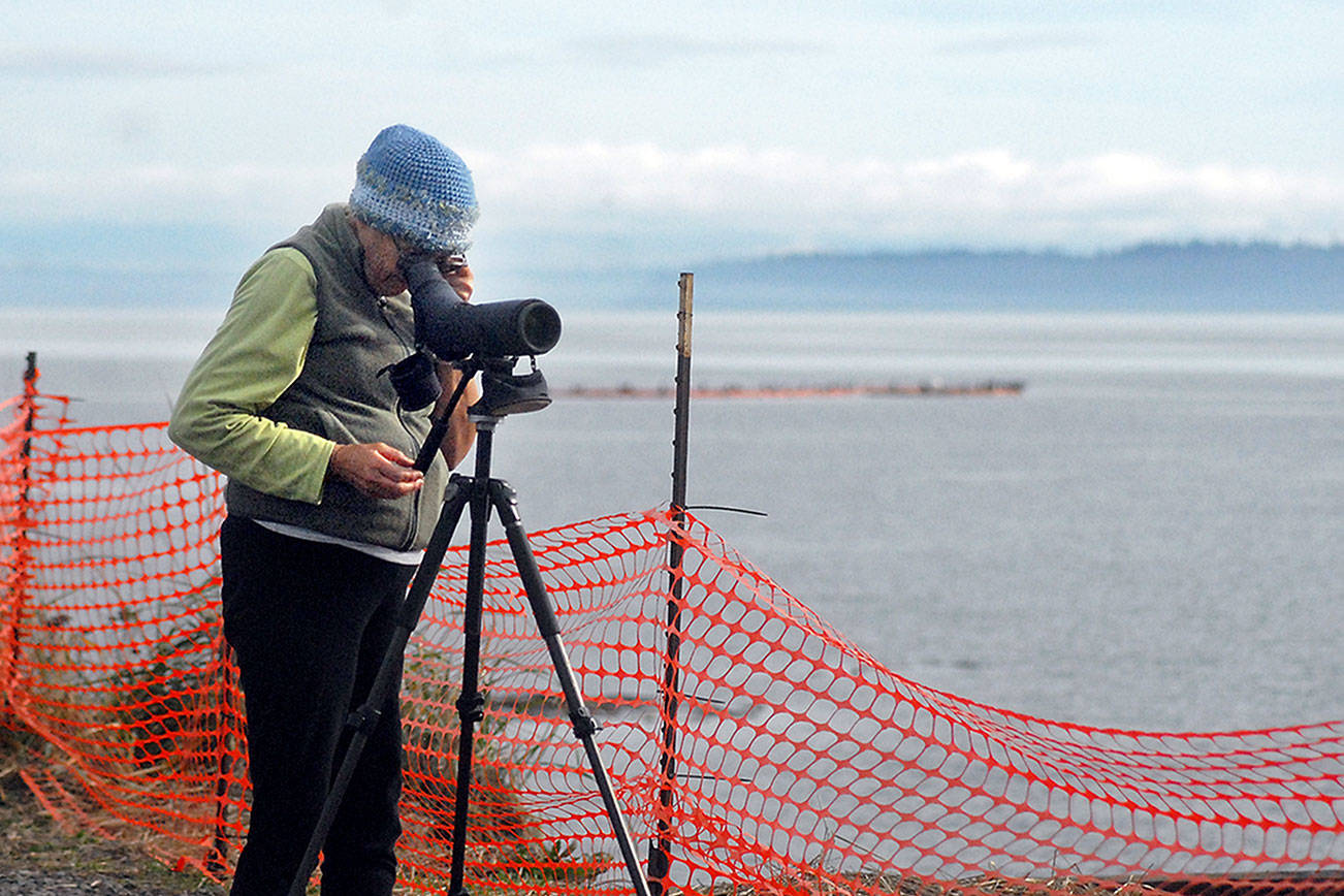 Maxine Reid of Marysville uses a spotting scope to look for birds on Port Angeles Harbor from Ediz Hook in Port Angeles on Wednesday. The location is popular with birders trying to spot water fowl of the Pacific Northwest. (Keith Thorpe/Peninsula Daily News)