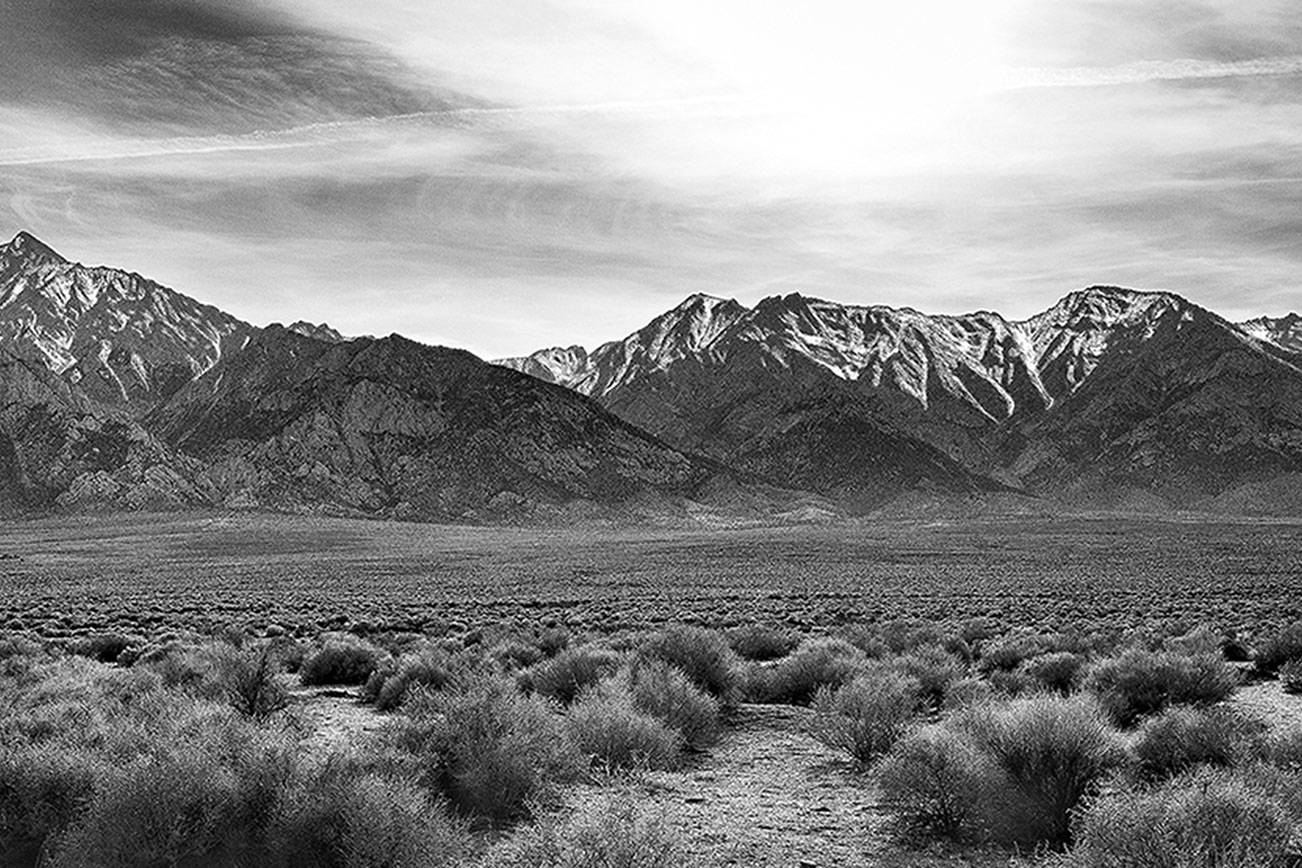 Brian Goodman's "Desolate Surroundings" depicts the site of the Manzanar camp in the Owens Valley of California.