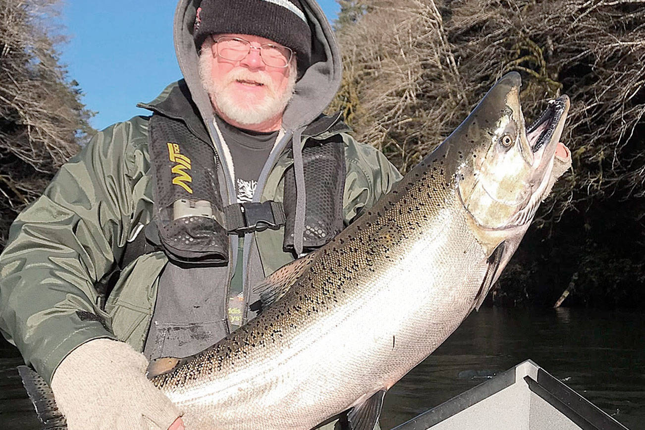 Mike Zavadlov
Bob Lashinski caught this chrome king while fishing with Mike Zavadlov of Mike Z's Guide Service (360-640-8109) earlier this month. With Thanksgiving approaching, West End anglers are keeping watchful eyes out for hatchery steelhead.