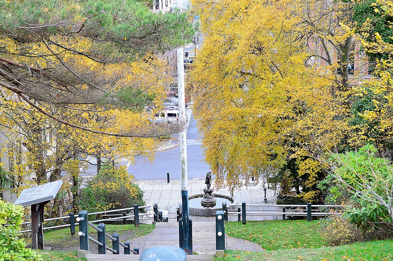 Despite this week’s powerful winds, the surrounding trees near the Haller Fountain in downtown Port Townsend still wear their golden leaves. (Diane Urbani de la Paz/Peninsula Daily News)