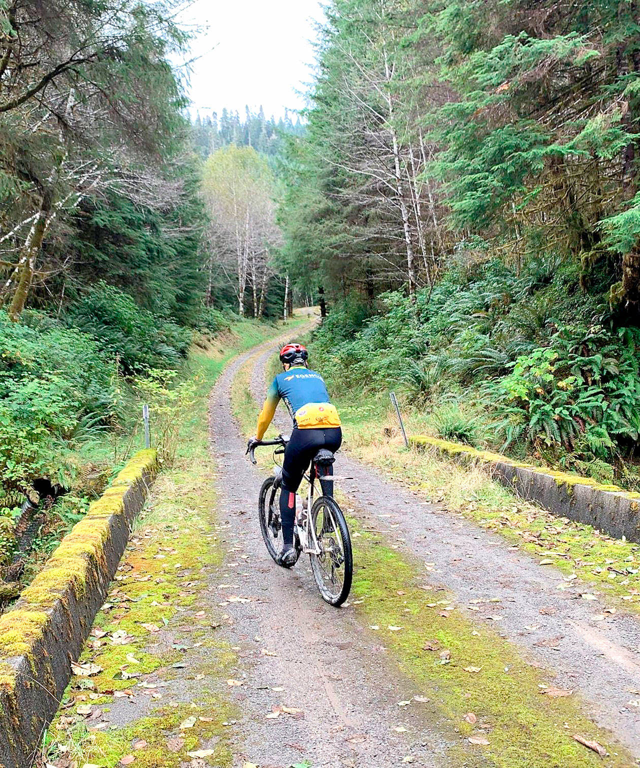 The Gravel Unravel is now a three-race series through the Hoh Rainforest, the Sol Duc Valley and the mountains above Quilcene in May and June. (Roger Burton)