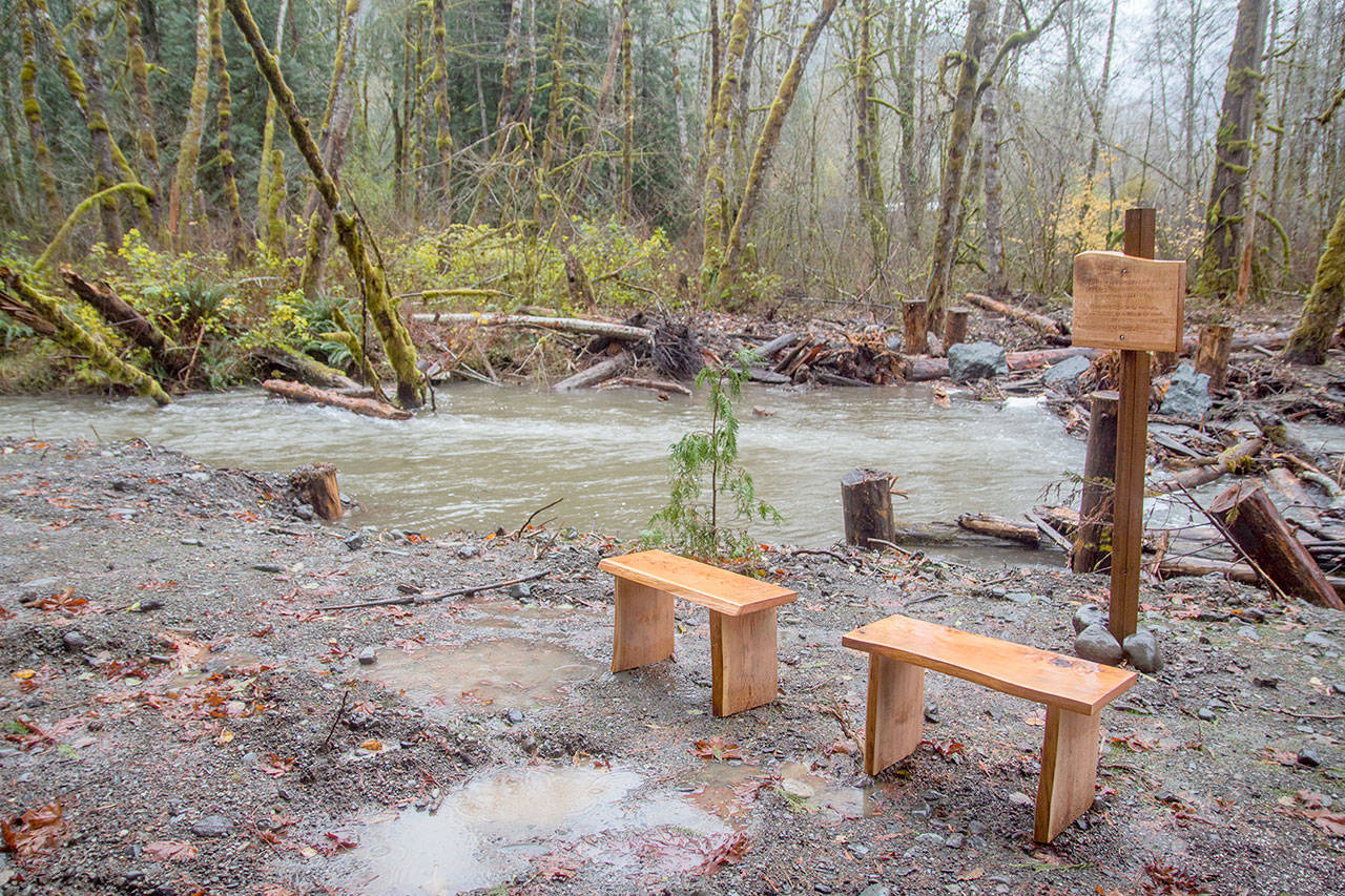 A sitting area on Little River dedicating the project to Rick Skelly, a supportive landowner of the project. He died during the second year of construction. (Photo courtesy of Tiffany Royal/Northwest Indian Fisheries Commission)