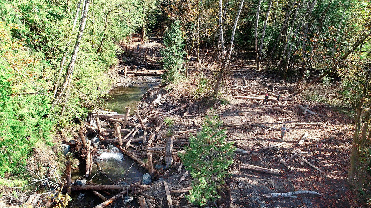 The installed logs and rock collars in Little River, just upstream from where Little River meets the Elwha River mainstem. (Photo courtesy of Natural Systems Design Inc.)