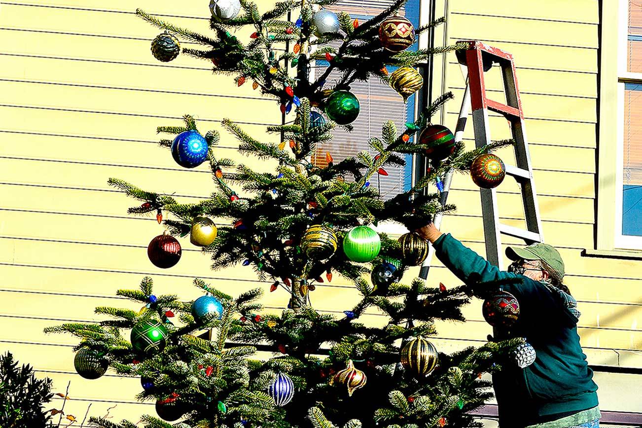 Downtown Port Townsend's 16-foot Nordman fir got its ornaments, courtesy of longtime Main Street decorator Michael Rosser, in anticipation of the virtual tree lighting around dusk Saturday. The lighting will be shared on the Port Townsend Main Street Program Facebook page. (Diane Urbani de la Paz/Peninsula Daily News)