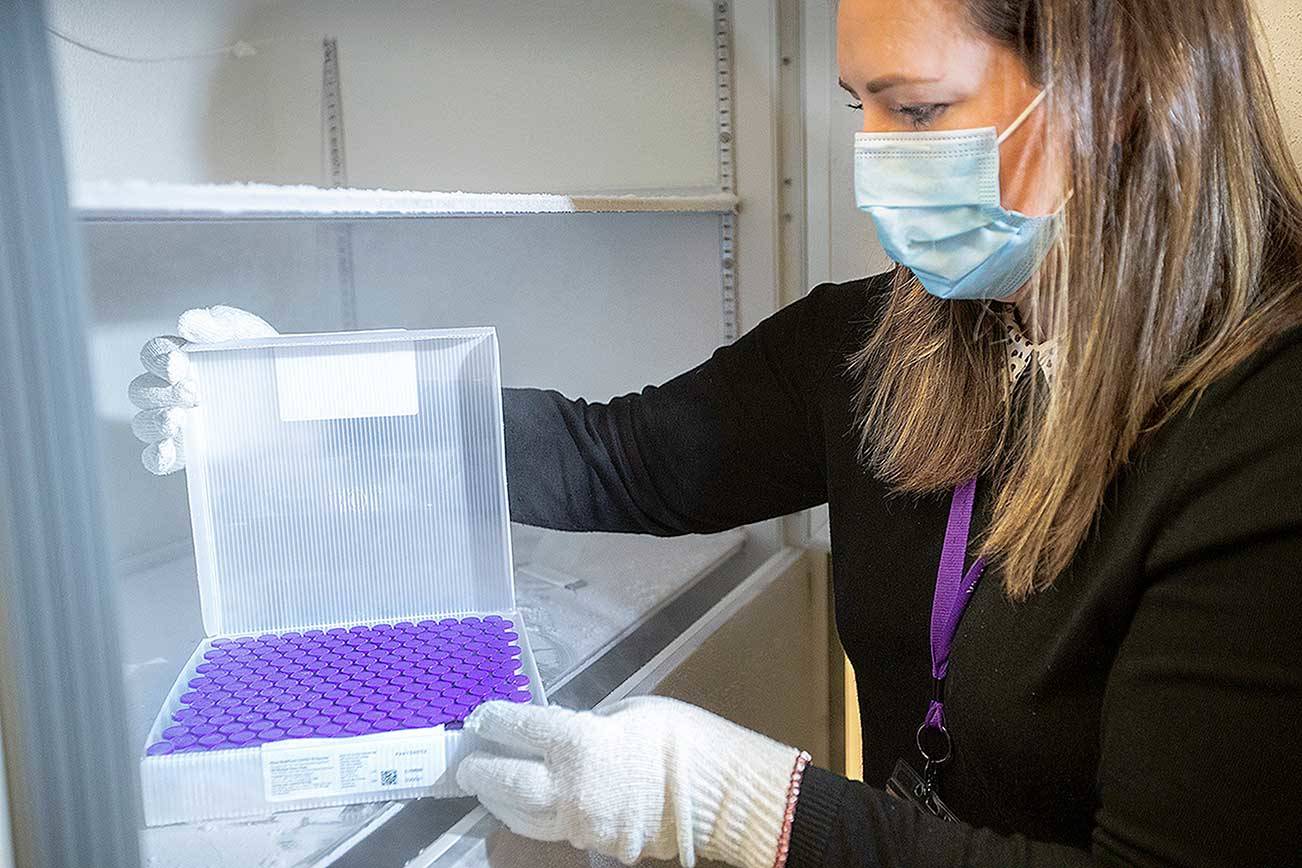 University of Washington Medical Center Pharmacy Manager Christine Meyer puts a tray of doses of the Pfizer-BioNTech COVID-19 vaccine into the deep freeze after the vaccine arrived at the University of Washington Medical Center's Montlake campus on Monday in Seattle. (Mike Siegel/The Seattle Times via The Associated Press)