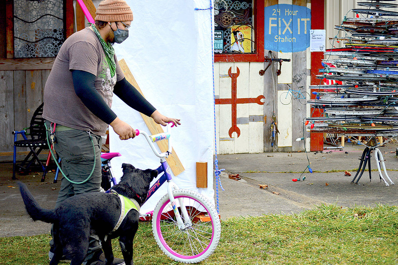 Escorted by his dog Zeke, volunteer Gabe Quintanilla brings a newly refurbished bike to the Port Townsend ReCyclery Christmas tree he built from castoff bicycle wheels. Diane Urbani de la Paz/Peninsula Daily News