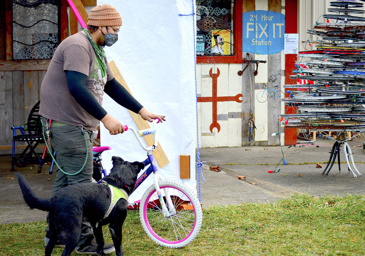 Escorted by his dog Zeke, volunteer Gabe Quintanilla brings a newly refurbished bike to the Port Townsend ReCyclery Christmas tree he built from castoff bicycle wheels. (Diane Urbani de la Paz/Peninsula Daily News)
