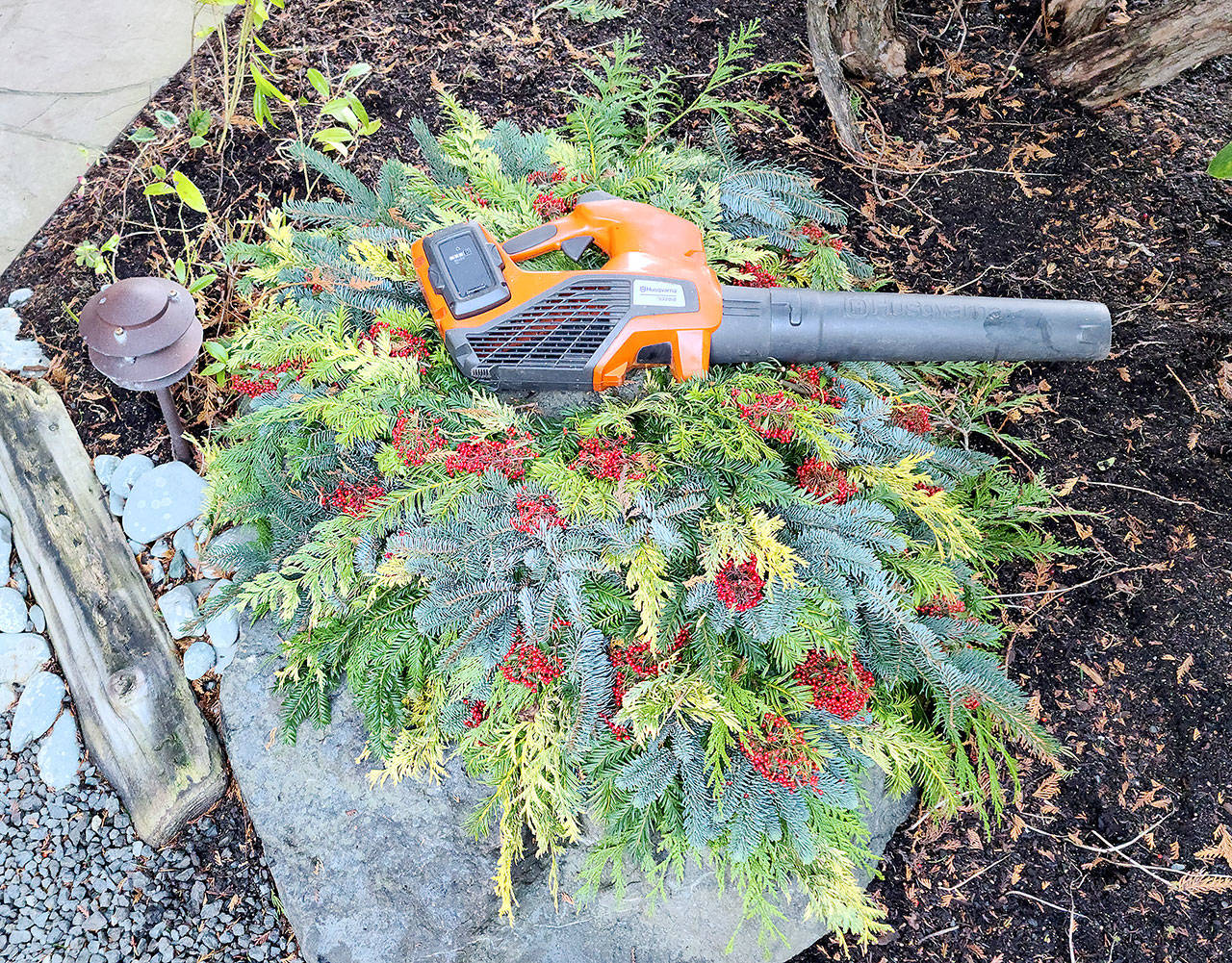 My electric blower — which is not only far quieter than a Whidby Island Growler, but also is vastly better for the environment than gas blowers. We, as gardeners, should be stewards of the land. (Andrew May/For Peninsula Daily News)