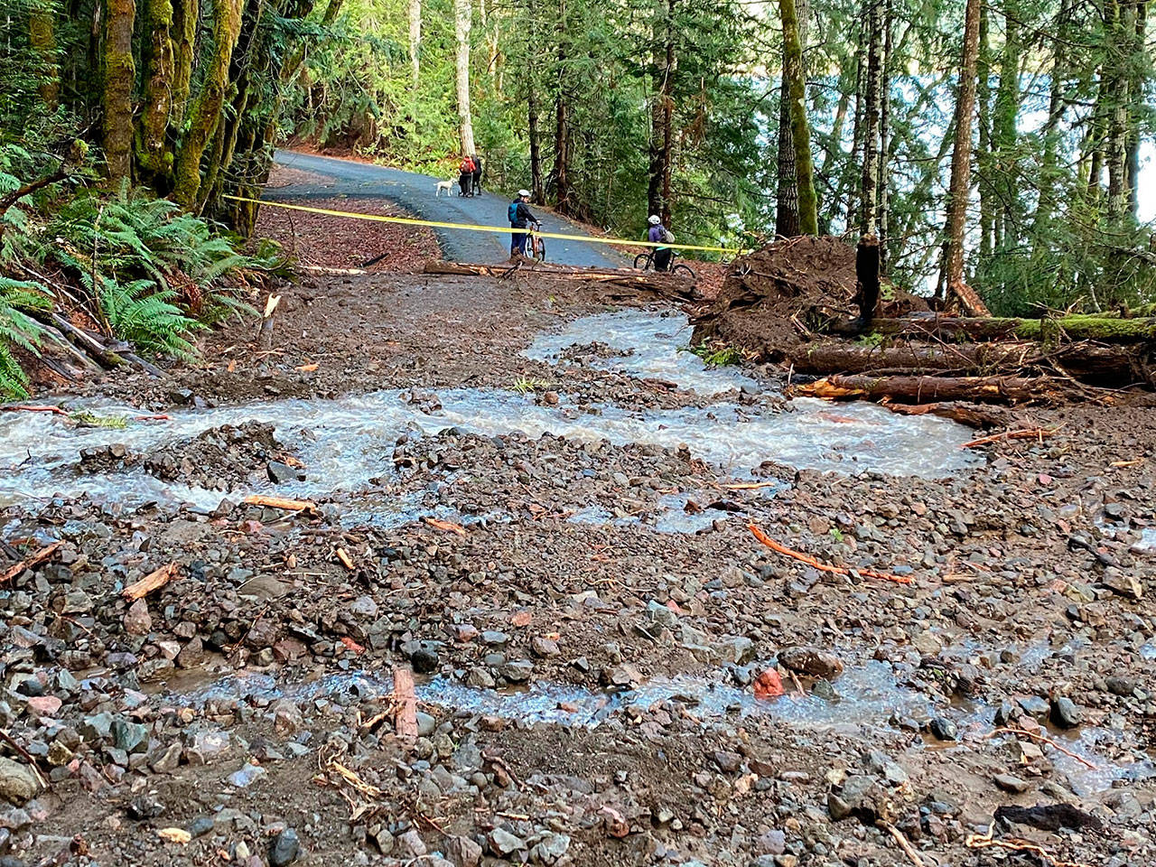 Photo courtesy of Noel Carey
A landslide blocks safe passage along the Spruce Railroad Trail. Olympic National Park officials said heavy rain was the cause.
