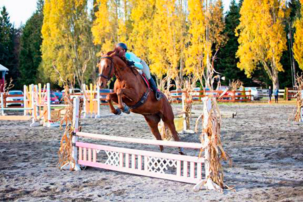 As Fox-Bell Farm Assistant Coach Chloe McGee guides Cooper through a series of jumps, he sails over each one with room to spare. The farm adopted Cooper from a local rescue facility, trained and schooled him, and now hes one of its lesson horses for more experienced riders. Below, Hayden Martinez takes a riding lesson on Bingo, one of Fox-Bell Farms lesson horses. (Meghan Lawson/Two Red Dogs Photography)