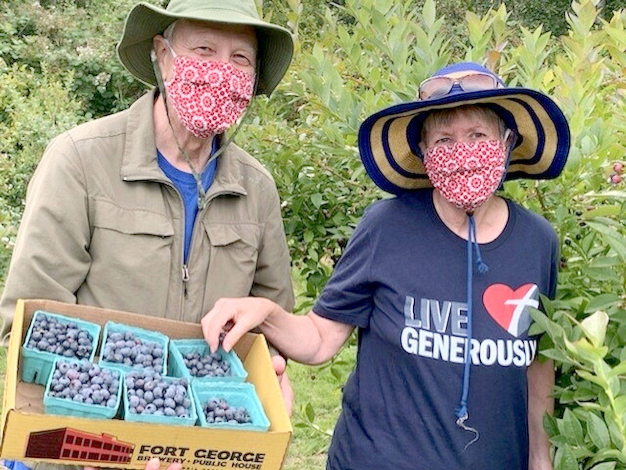 Alan and Karen Selig were among the gleaners volunteering at Joyce’s Blueberry Haven last summer. (Photo courtesy of Sharah Truett/WSU Clallam County Extension)